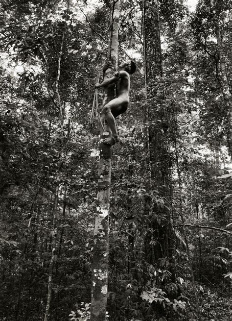 amazon nude tribes|Photos: The Awá Indians in Brazil's Eastern Amazon.